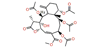 Juncenolide O